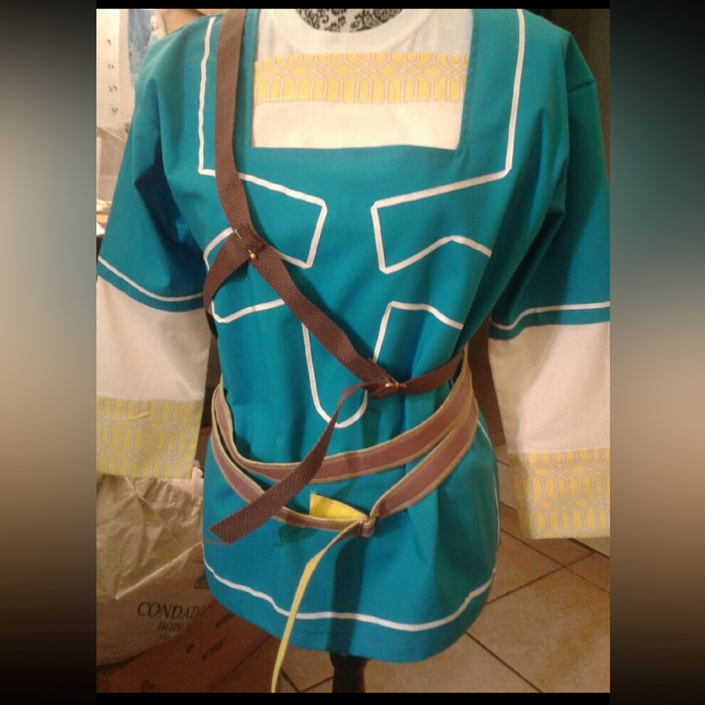 Link Breath of the Wild Costume